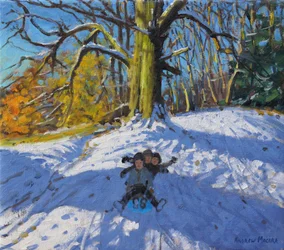Three on a Sledge, Allestree Park Derby